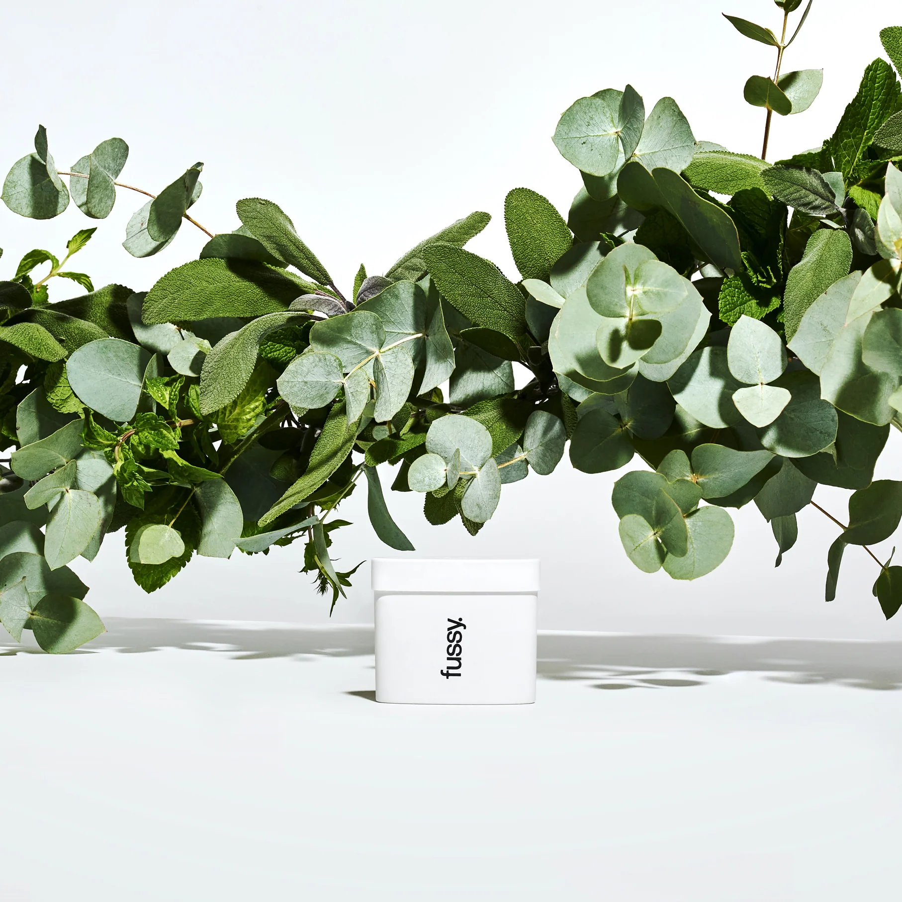 Refills - Image 12